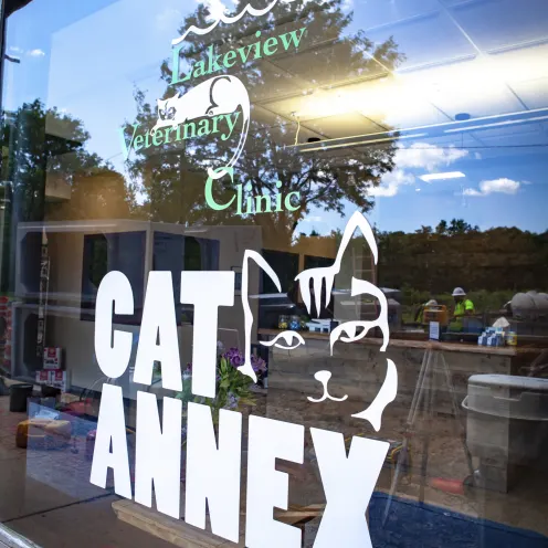 Cat Annex Window
